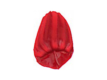 Tri-Art Acrylic Transparent Pyrrole Red Medium - 60mL