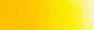 Old Holland Oil 40ml SD Cad. Yellow Medium