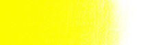 Winsor & Newton Winton Oil Colour  37mL  Cadmium Yellow Medium