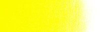 Winsor & Newton Winton Oil Colour  37mL  Cadmium Yellow Medium