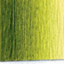 Da Vinci Watercolor Olive Green