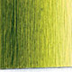 Da Vinci Watercolor Olive Green