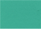 Turner Design Gouache  25mL Tube  Jade