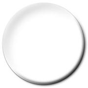 Testors Enamel 0.25oz Gloss White