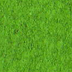 Dr. Ph. Martins Bombay India Ink Grass Green