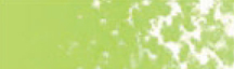 Mungyo Gallery Soft Pastel Permanent Green