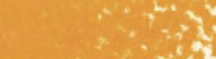 Mungyo Oil Pastel Burnt Umber