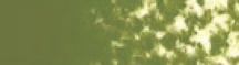 Mungyo Oil Pastel Leaf Green