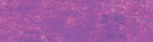 Cray-Pas Expressionist Oil Pastel Light Purple