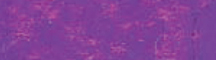 Cray-Pas Expressionist Oil Pastel Purple