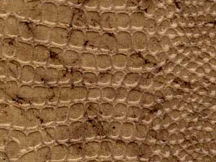 Indian Embossed 22x30 Reptile Desert Gold
