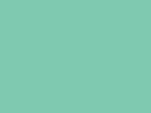 Folia Art Card Paper 19.5x27.5 Mint Green