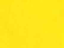Gamblin Artist Oil 37ml Radiant Yellow