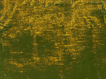 Gamblin Artist Oil 37ml Green Gold