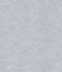 Metallic Silver 12x12
