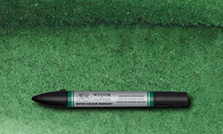Winsor & Newton Water Colour Marker - Hooker's Green Dark