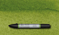 Winsor & Newton Water Colour Marker - Sap Green